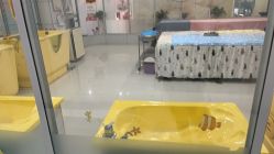 -纵享怡月月子中心(西稍门店)