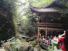 -藏龙百瀑风景区