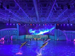 -海合安青岛极地海洋公园