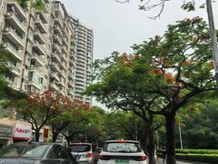 -荔香公园