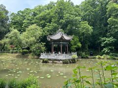 -古隆中景区
