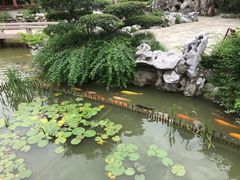 -檀园