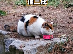 -颐和园