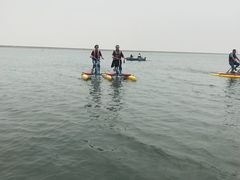 -碧海金沙