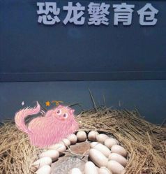 -恐龙探索乐园(磁器口店)