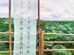 -西双版纳傣族园