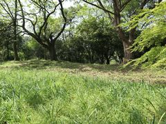 -杭州植物园