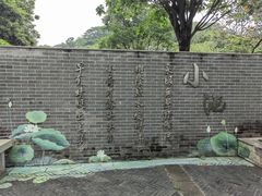 -长洲岛
