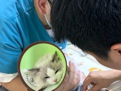 -动物缘宠物医院·骨科·猫科(西二环店)