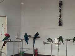 -南戴河国际娱乐中心