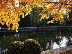 -钓鱼台国宾馆