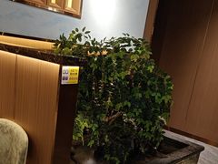 -南山翁新概念川菜(江宁万达广场店)