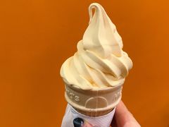 布丁甜筒-麦当劳(温州人民路店)