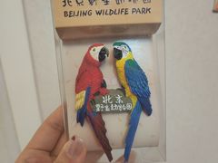 -北京野生动物园