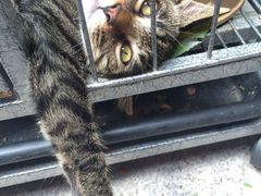 iphone_upload_pic-沐恩堂