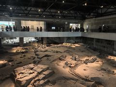 -自贡恐龙博物馆