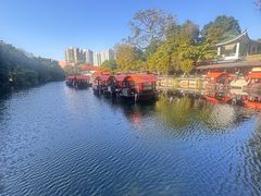 -侨美·唐荔园·40年地道粤菜