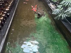 -福禧酒窖·中餐厅 (万柳店)