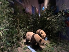 -武汉园博园(武汉自然博物馆)