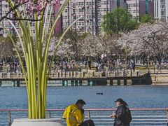 -西北湖绿化广场
