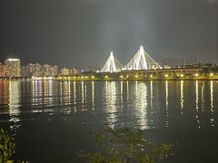 -万绿园