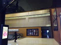 -幸福蓝海国际影城(芜湖IMAX店)