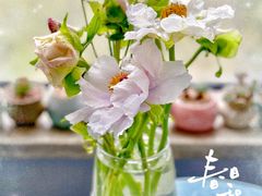 -盒马鲜生(双清路店)
