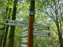 -同里国家湿地公园