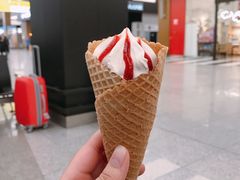 -谢列梅捷沃国际机场