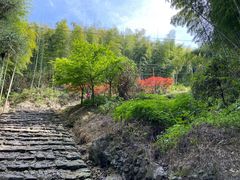 -仙霞关景区