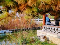 -三里河公园