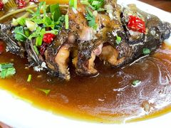 -农夫人家餐饮