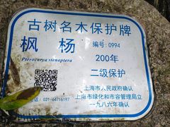 -汇龙潭