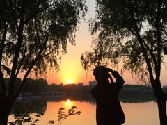 -昆山城市生态森林公园