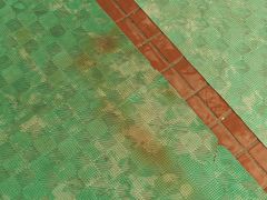 -江湾体育中心游泳馆