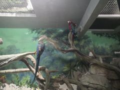 -福州罗源湾海洋世界旅游区