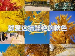 -辽宁大学(崇山校区)