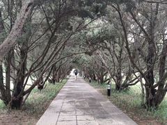 -洛阳古墓博物馆