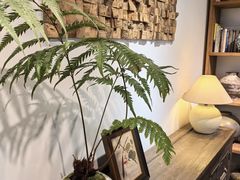 -自由生长植物工作室(深港花卉中心店)