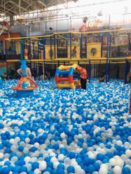 -爱丽丝奇幻乐园