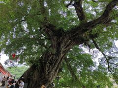 -云水谣景区