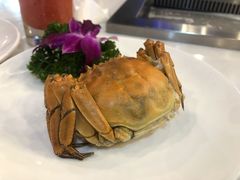 -218音乐旋转餐厅·高空景观