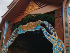 -西双版纳原始森林公园