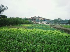 -驿舍·民國老营房院子私房菜(科学会堂店)