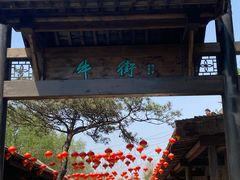 -爱新觉罗皇家博物院