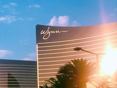 -拉斯维加斯永利酒店