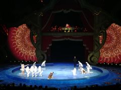 -珠海横琴长隆《卡卡虎奇遇记》