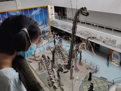 -中国地质大学逸夫博物馆