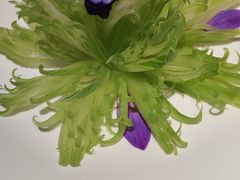 -浙里本味·宴四季江南(三台山路店)