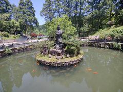 -玉苍山国家森林公园